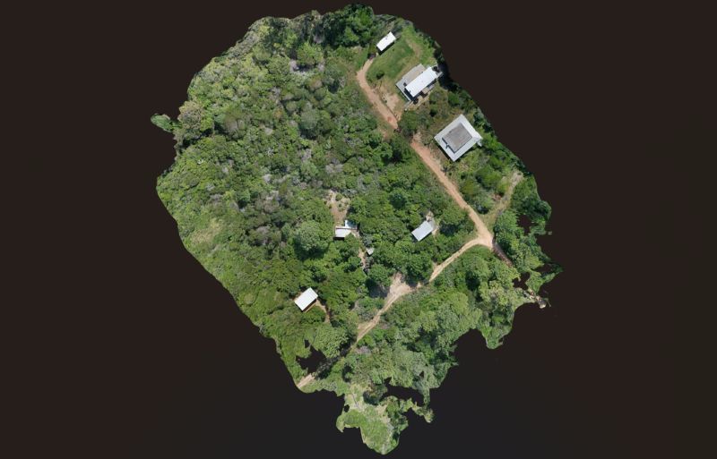 Ortofoto de un emplazamiento con vegetación y edificios